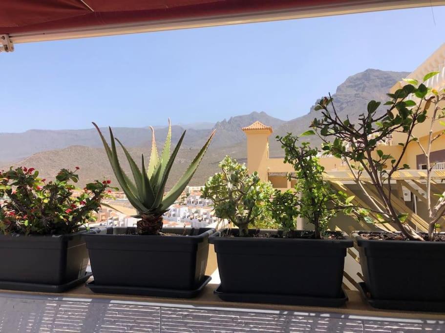 Apartamento Con Impresionantes Vistas Y Piscina アデヘ エクステリア 写真